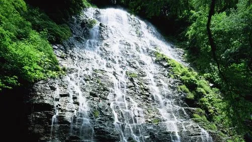 工业节能可靠性